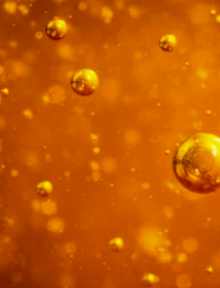 Всю весну – с «Мёдом»! Получайте 5% манибэка за покупки в магазинах «Евроопт» и «Хит!»